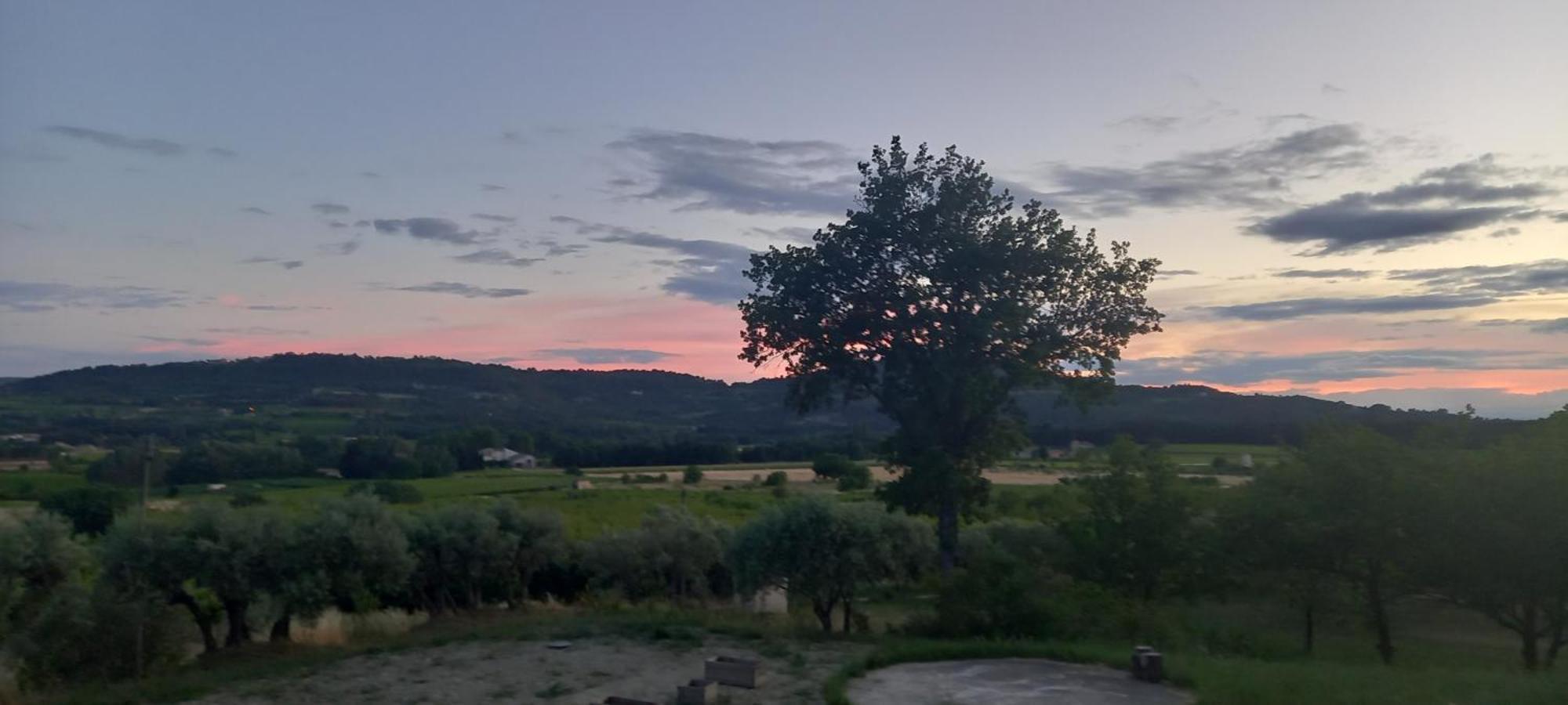 Вилла La Pifote Villes-sur-Auzon Экстерьер фото